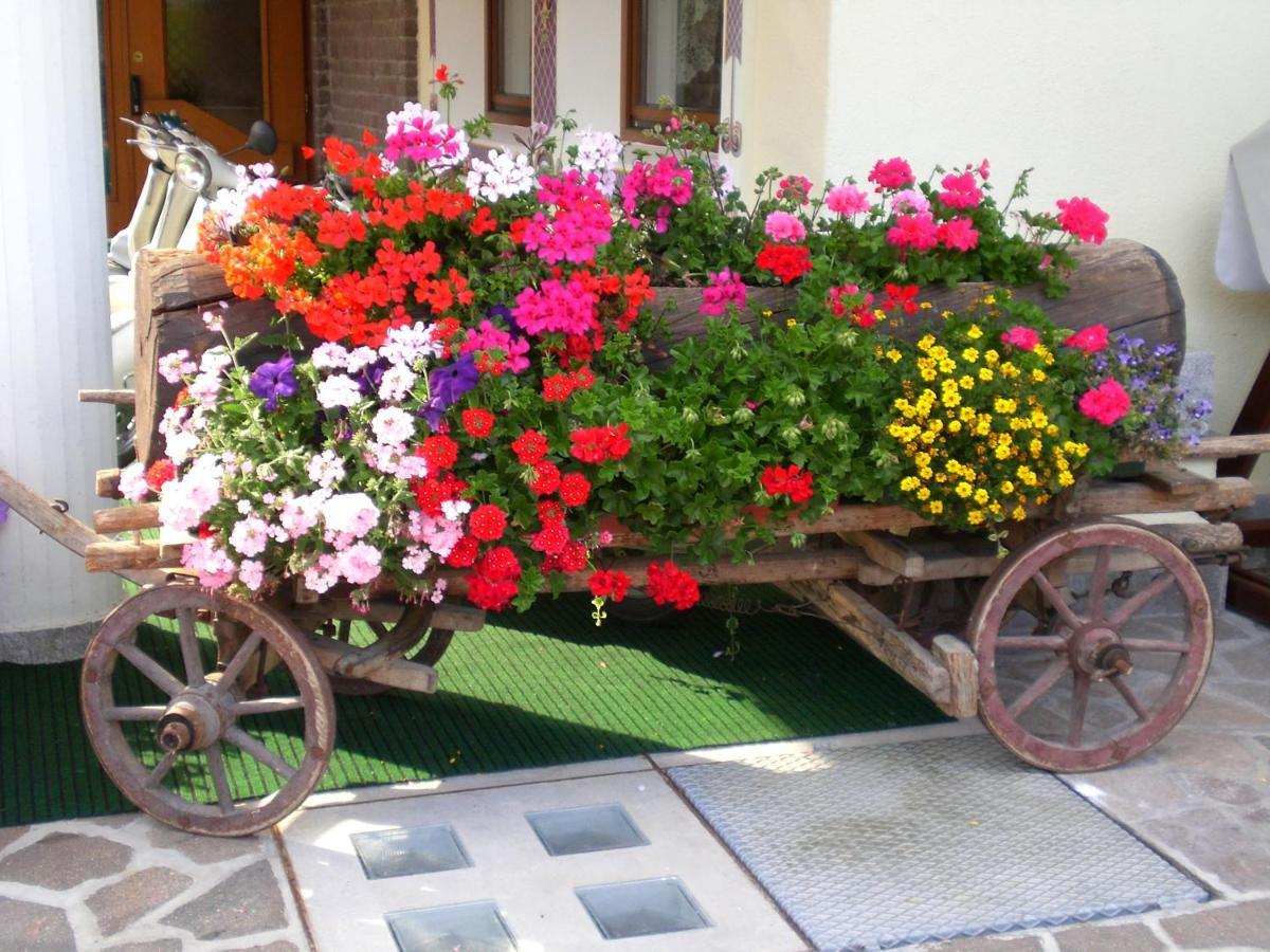 Park Hotel Arnica Фалкаде Екстериор снимка