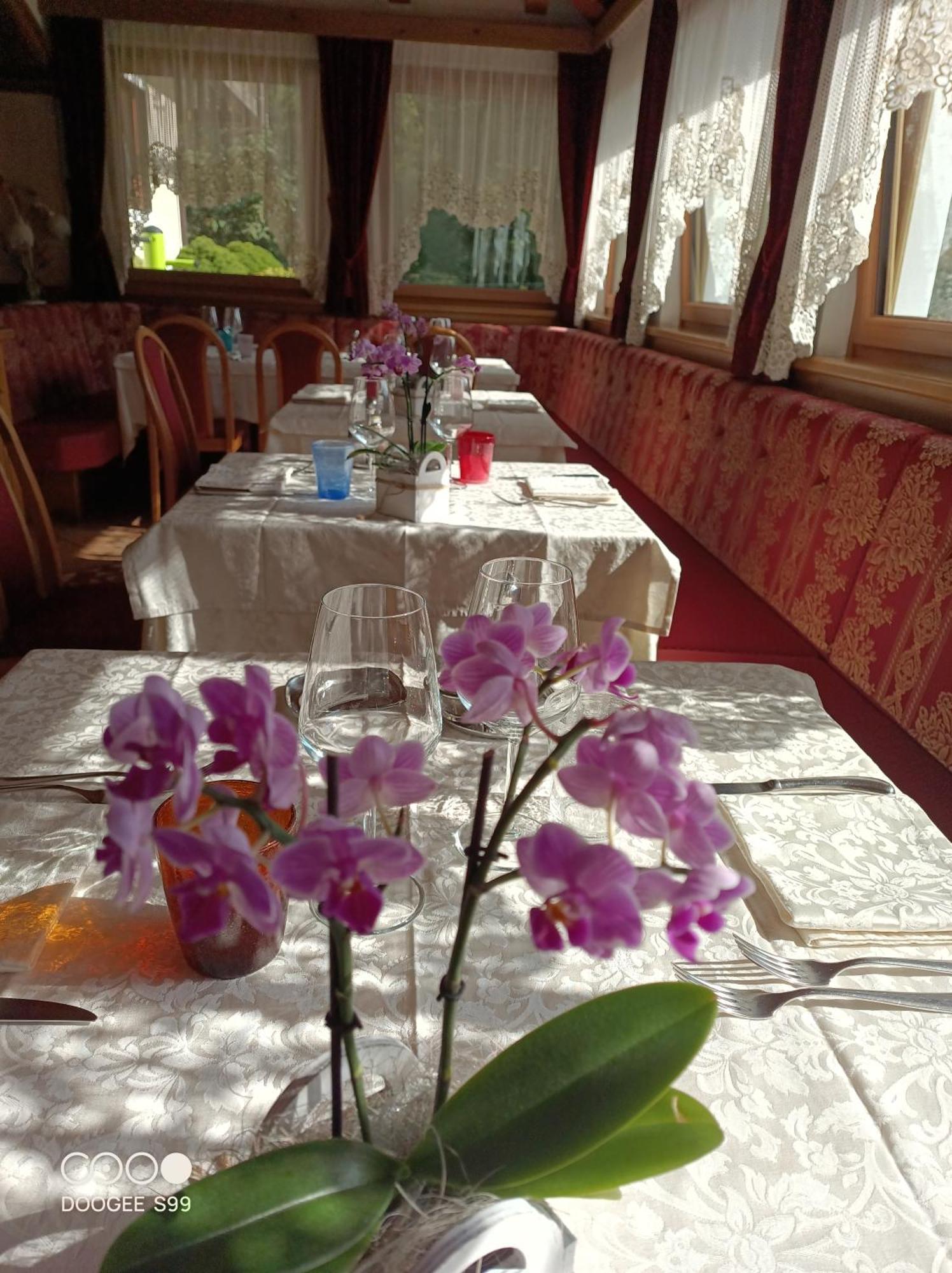Park Hotel Arnica Фалкаде Екстериор снимка