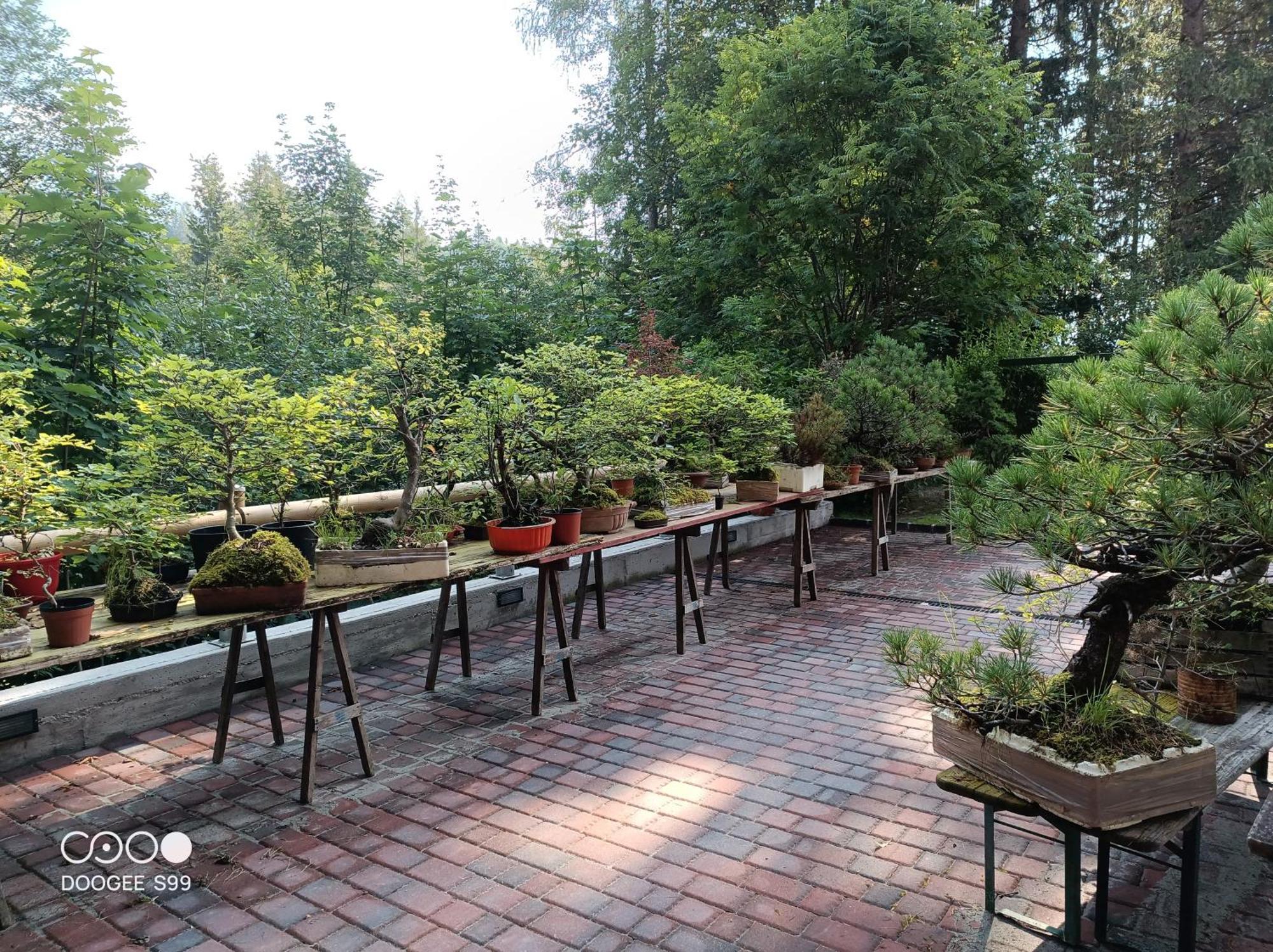 Park Hotel Arnica Фалкаде Екстериор снимка